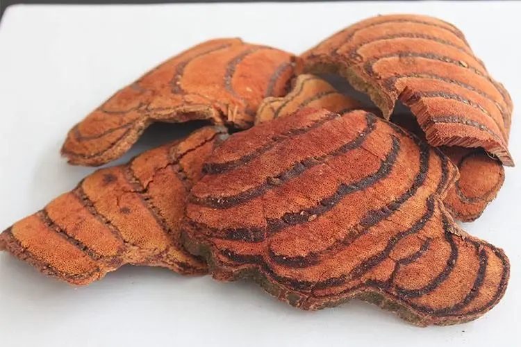 雞血藤.jpg 雞血藤.jpg