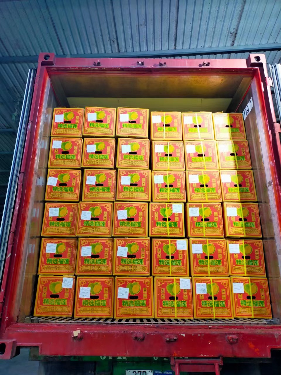 榴蓮.jpg 榴蓮.jpg