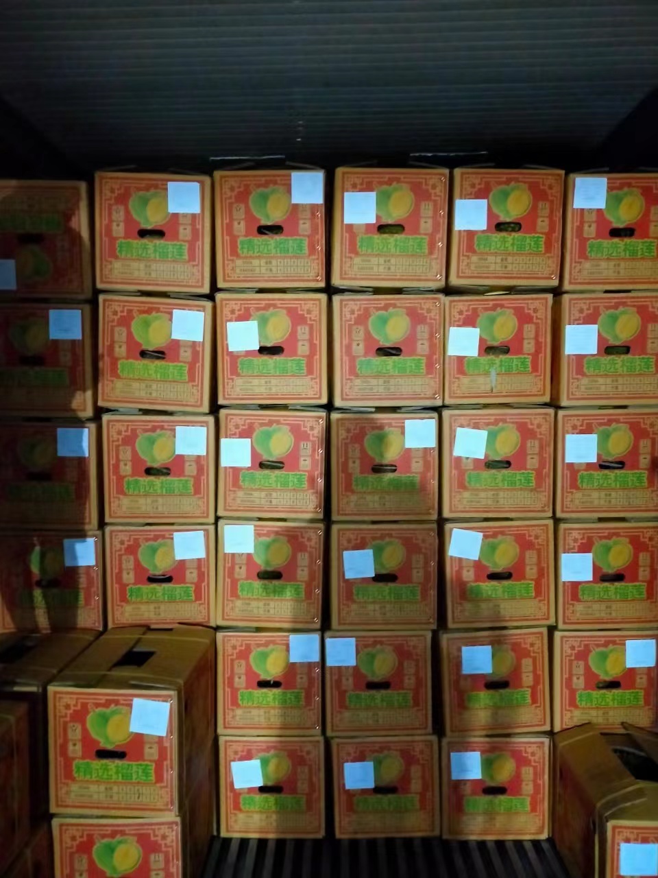 榴蓮1.jpg 榴蓮1.jpg