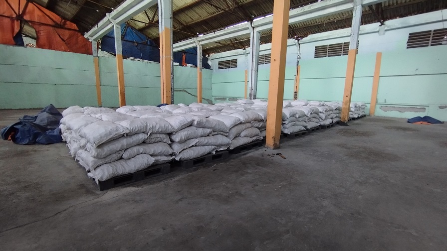 莪術(shù).jpg 莪術(shù).jpg